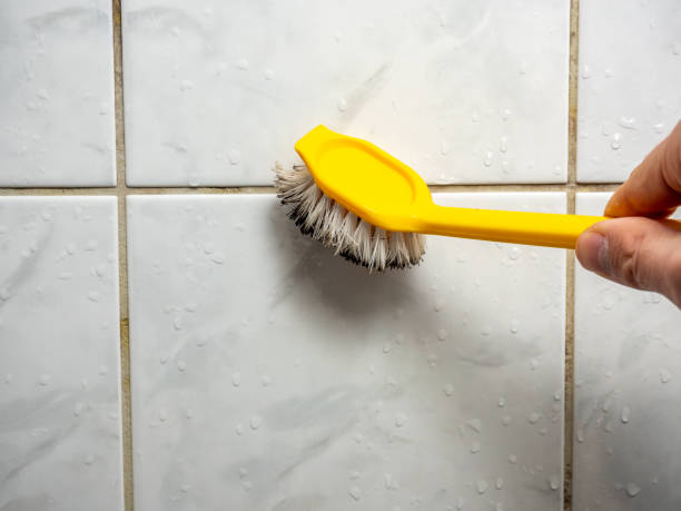 Best Residential Mold Removal  in South Houston, TX