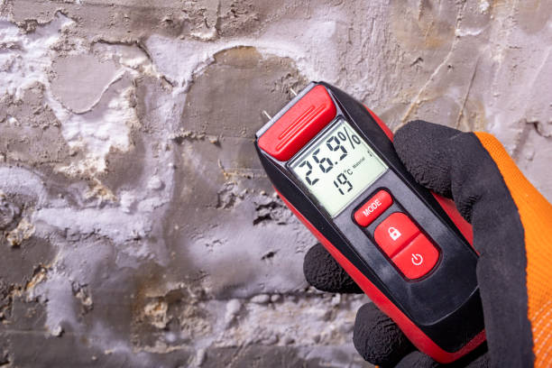 Best Mold Testing  in South Houston, TX